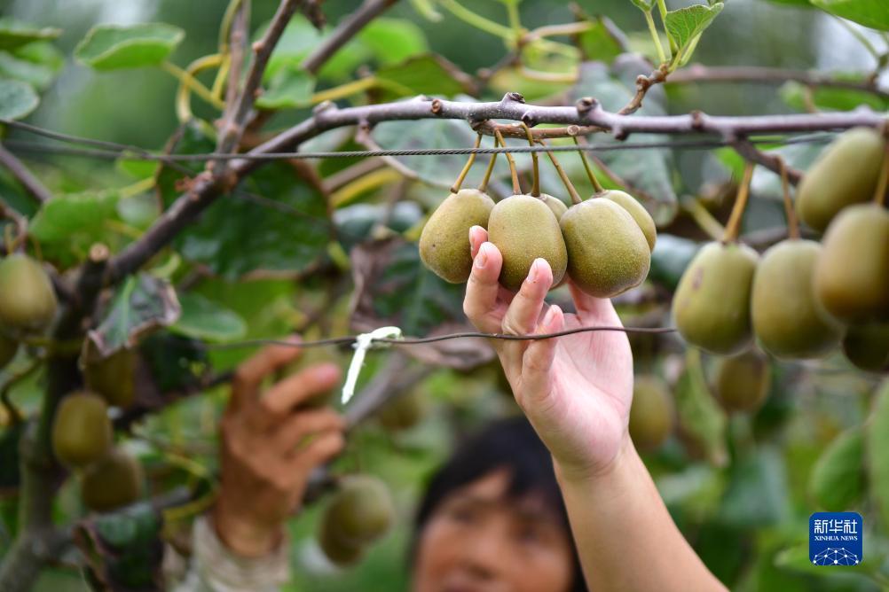 必胜娱乐游戏城
